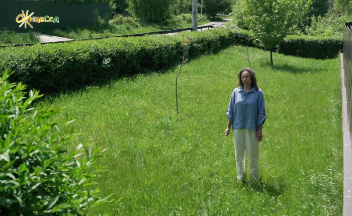 Світлана Кучер радить використовувати бірючину для огорожі прибудинкової території 